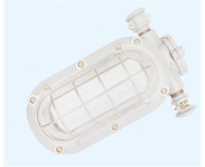 聊城矿用隔爆型LED支架灯